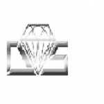 The Diamond Auto Salon Profile Picture