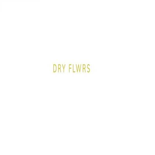 Dry FLWRS Profile Picture