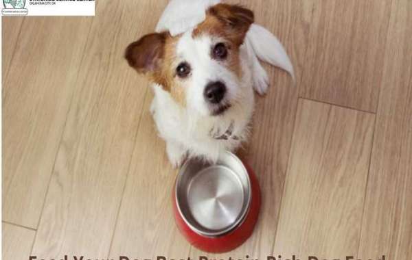 Choose A Quality Dog Food For Your Beloved Friend