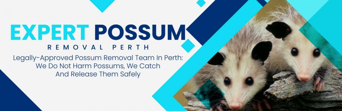 247 Possum Removal Perth Cover Image