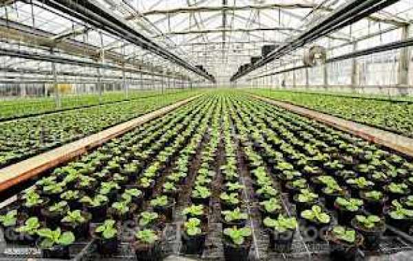 Commercial Greenhouse Market   Trends To Reap Excessive Revenues By 2028