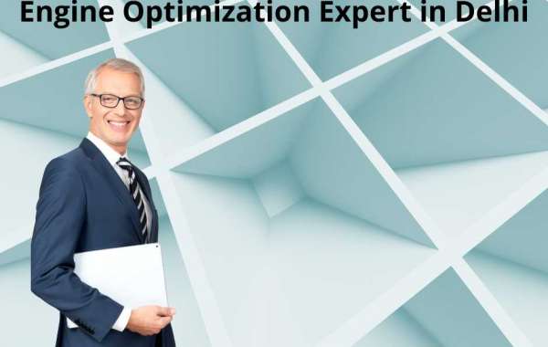 The Ultimate Guide to Hiring a Search Engine Optimization Expert in Delhi