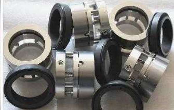 The role, significance and status of mechanical seals