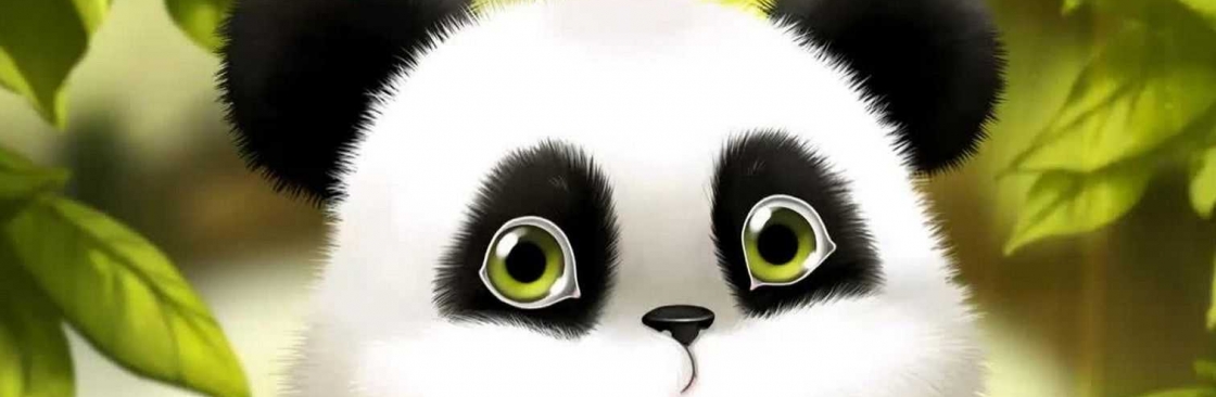 Panda Stuff Cover Image