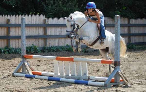 Apple Creek Farm Horse Show Highlights Local Talent