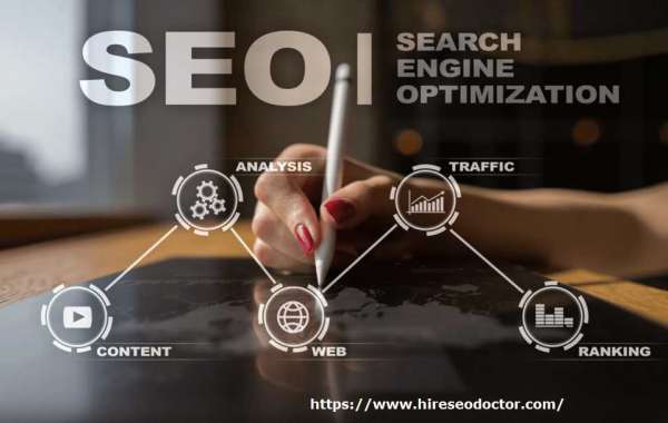 Small Business SEO in Tampa Bay area