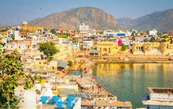 Tour and travels Jaipur