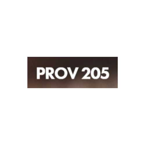 PROV 205 LLC., Psychological Services Profile Picture