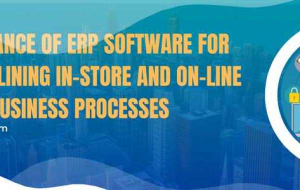 Importance of ERP software for streamlining In-Store and On-line Retail business processes