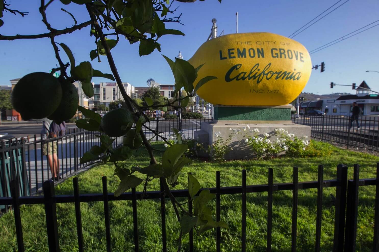 Local Movers | Cheap Long Distance Movers Lemon Grove, CA
