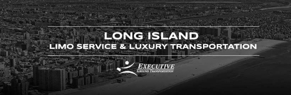 Executive Limousine Cover Image