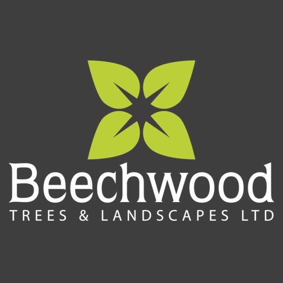 Beechwood Trees and Landscapes Ltd Profile Picture