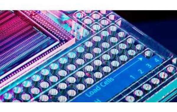Digital PCR (dPCR) and Real-Time PCR (qPCR) Market Soars $11315.90 Million by 2030