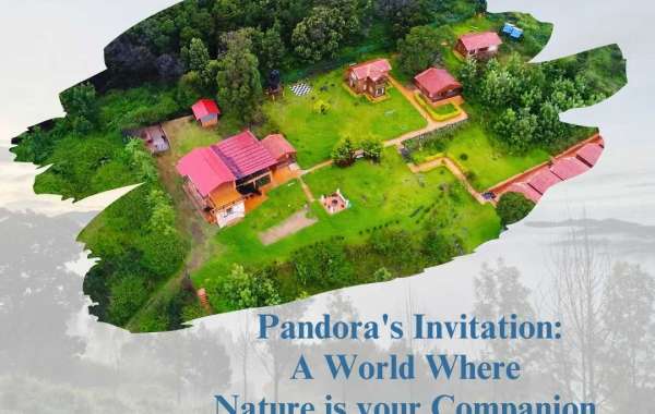 "Hilltop Haven: Luxury Redefined at the Best Hotels in Ooty with Hill View - Pandora Hill Resort"