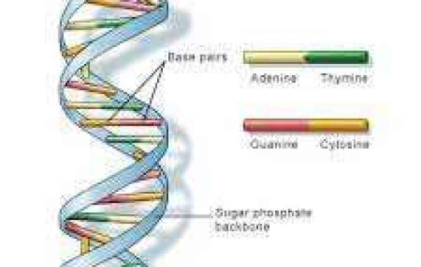 DNA Sequencing Market Soars $16.81 Billion by 2030