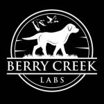 Berry Creek Labs Profile Picture