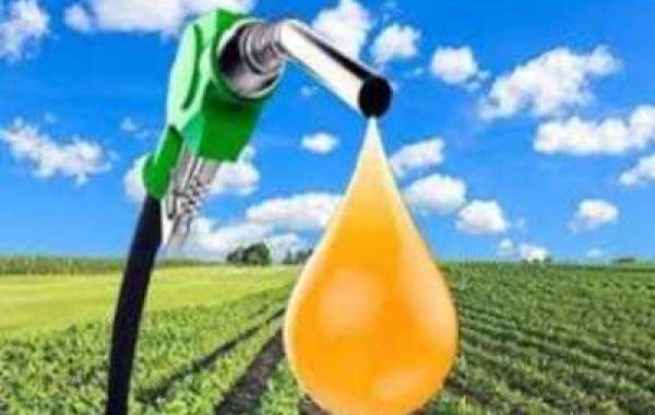 Biodiesel Market Size $51.35 Billion by 2030