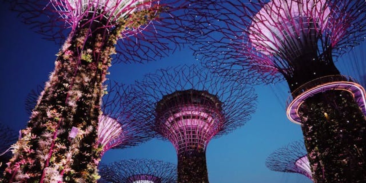 Unveiling Singapore's Futuristic Marvel: Gardens by the Bay with singapore tour packages from kochi [2024]