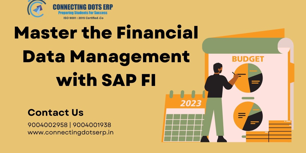 Master Financial Management with SAP FI