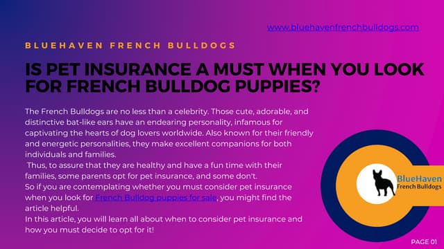 Is Pet Insurance a Must When You Look for French Bulldog Puppies | PPT