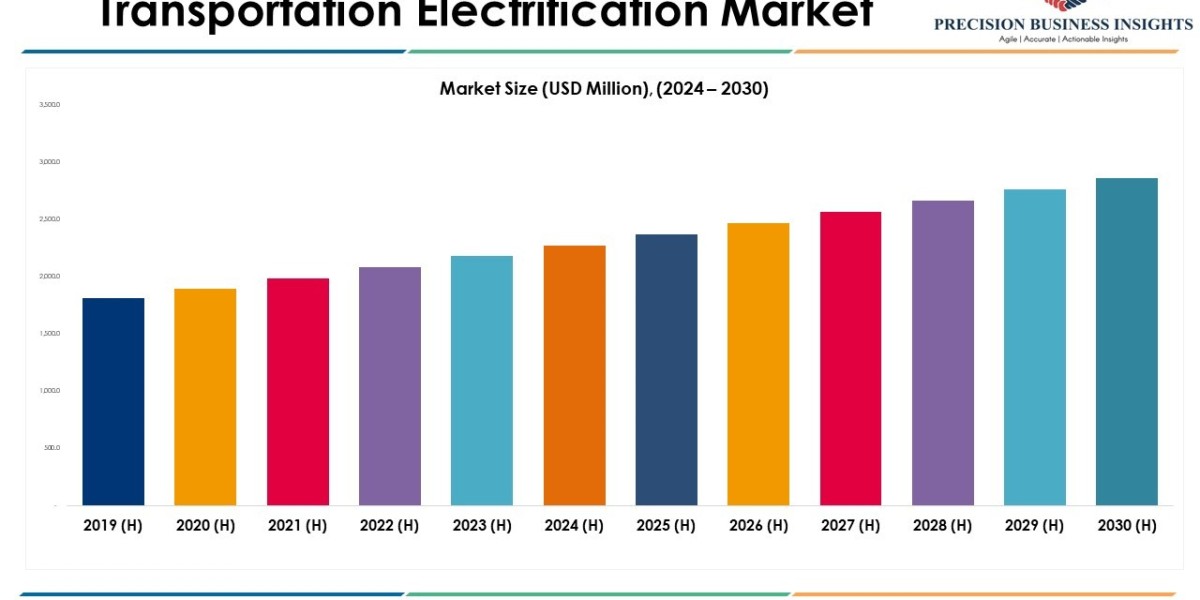 Transportation Electrification Market Research Insights 2024 - 2030