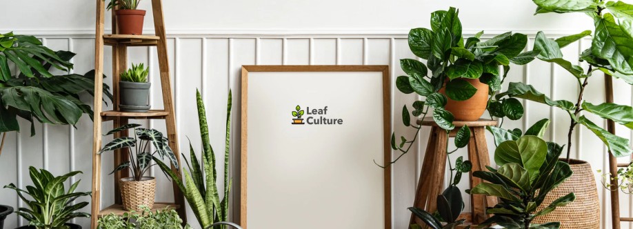 Leaf Culture Cover Image