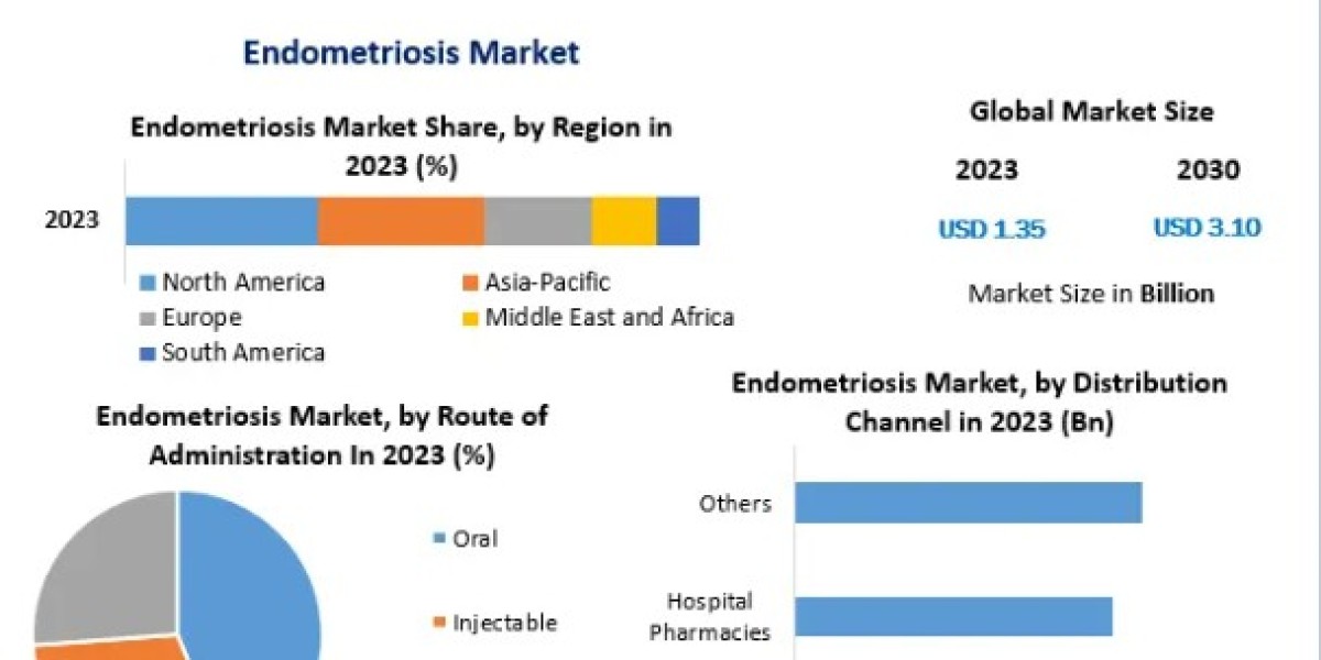 Endometriosis Market Growth Innovations On Top Key Players -2030