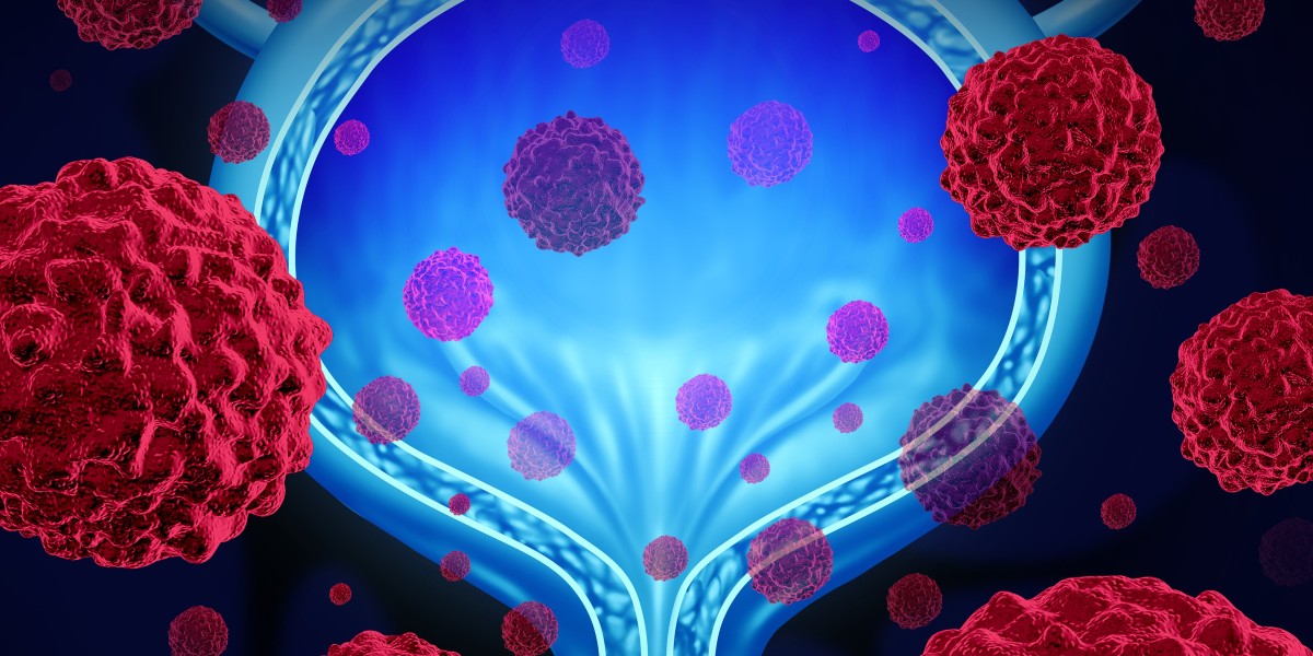 Combination Immunotherapy For Bladder Cancer