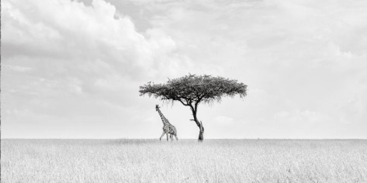 Kenya Wildlife Safari Photography Workshop