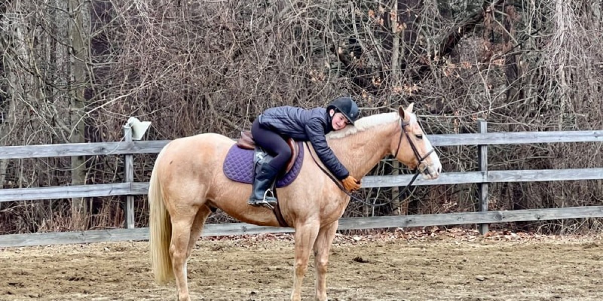 Tips for Novice Riders: Choosing Your First Horse at Apple Creek Farm in Massachusetts