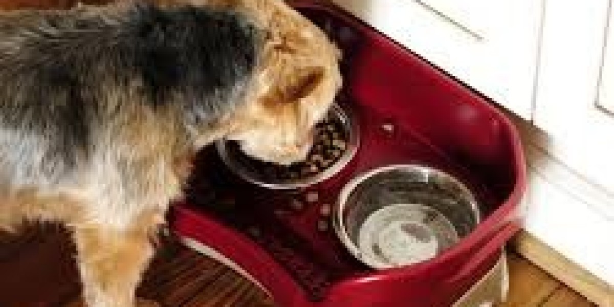 The Essential Guide to Dog Bowls: Choosing the Right One for Your Canine Companion