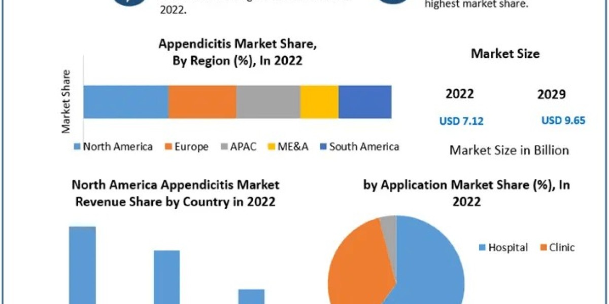 Appendicitis Market Trailblazing Pioneers: Decoding Market Size, Share, and Future Growth Vistas | 2023-2029