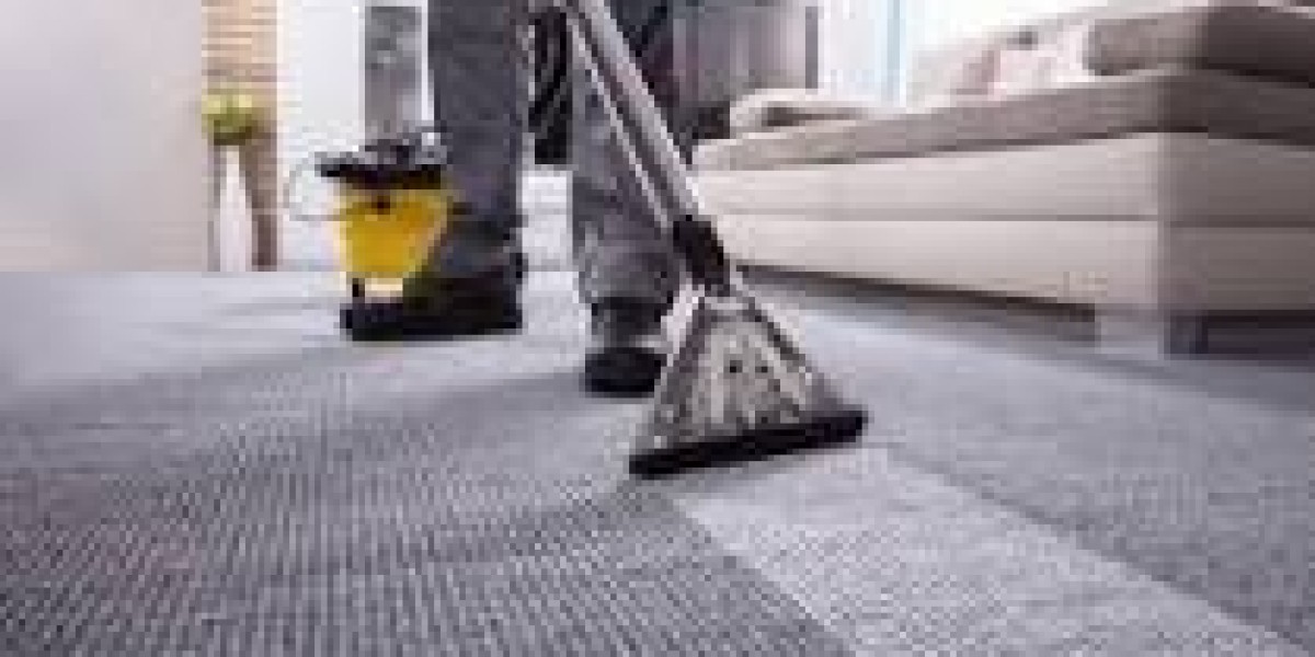 Professional Carpet Cleaning: Necessary for a Clean Living Environment