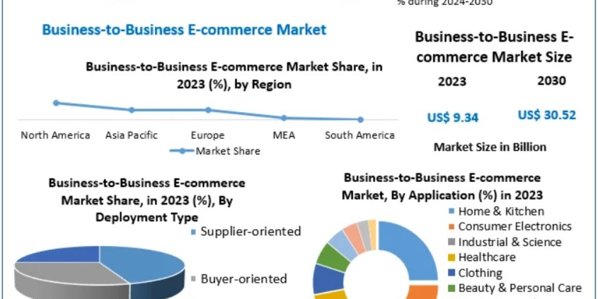 Business-to-Business E-commerce Market:  Market Share, Growth Trends, Industry Segmentation, and Projections for 2030