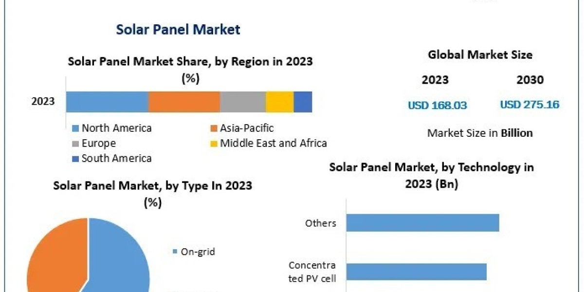 2030 Market Forecast: Insights into the Global Solar Panel Market