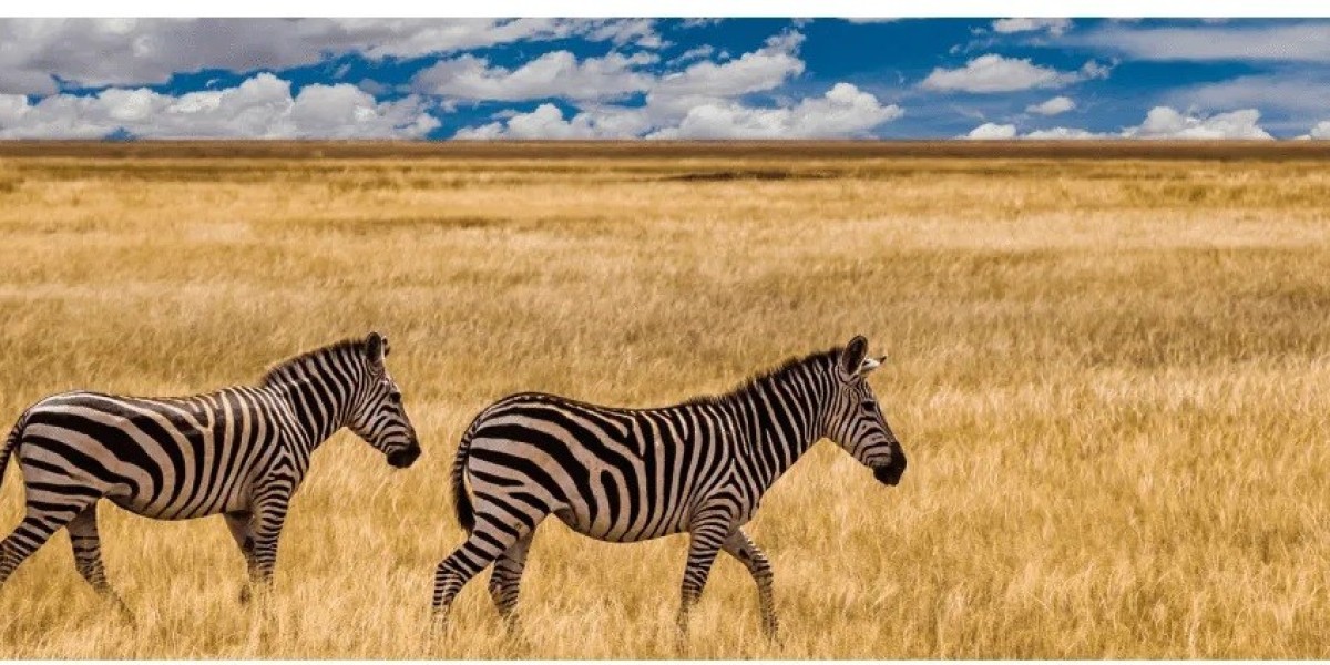 Embark on a Thrilling Adventure with Kalahari Safaris
