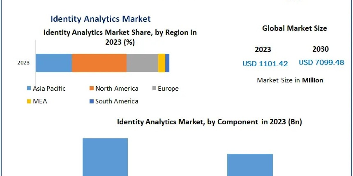 Market Size and Scope of Identity Analytics: 2023-2030 Forecast