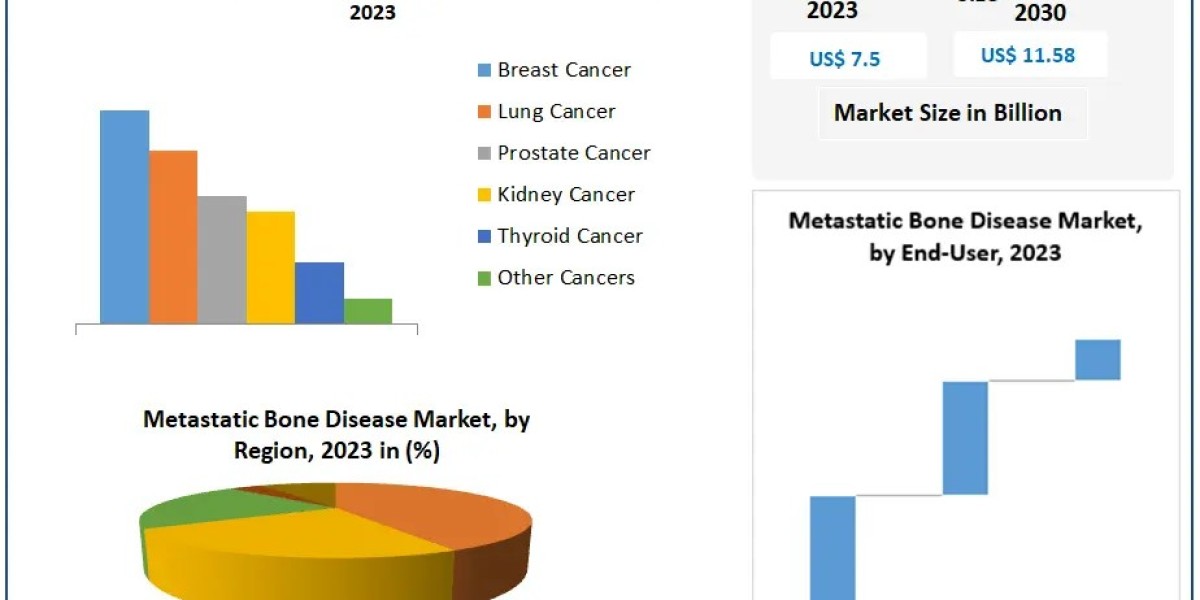 Metastatic Bone Disease Market Beyond the Numbers Game: Segmentation, Outlook, and Overview Trends | 2024-2030