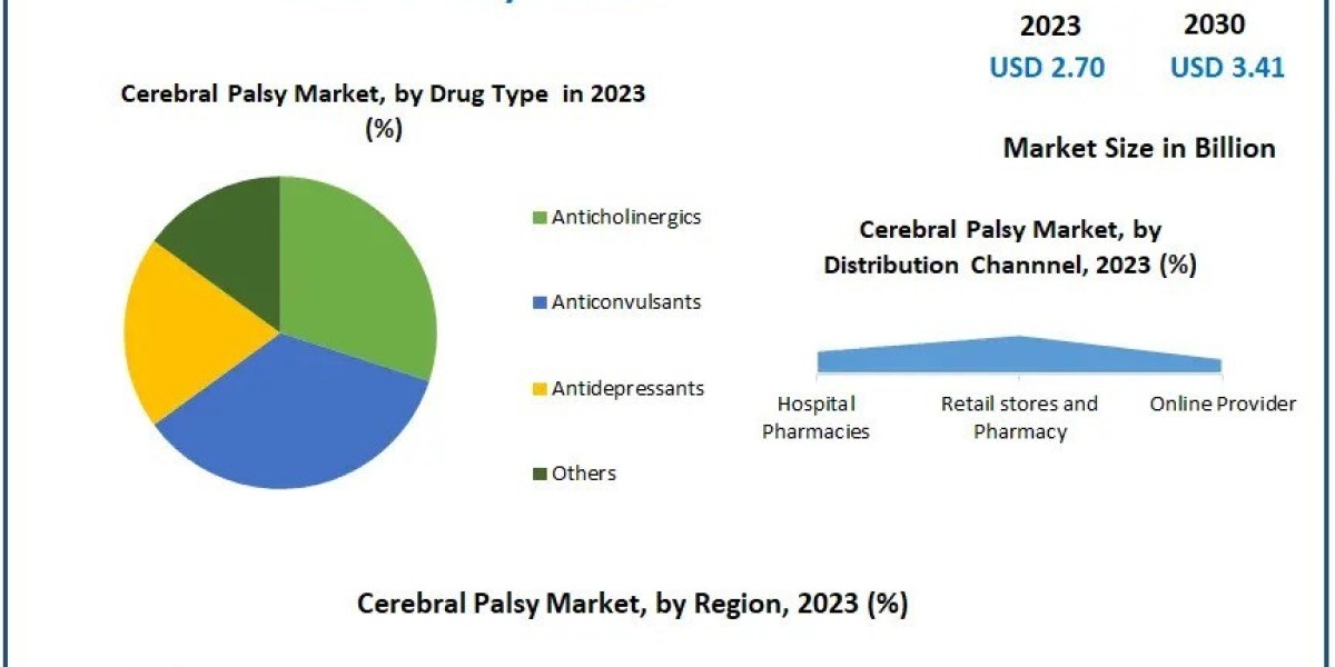 Future Growth of the Cerebral Palsy Market 2024-2030