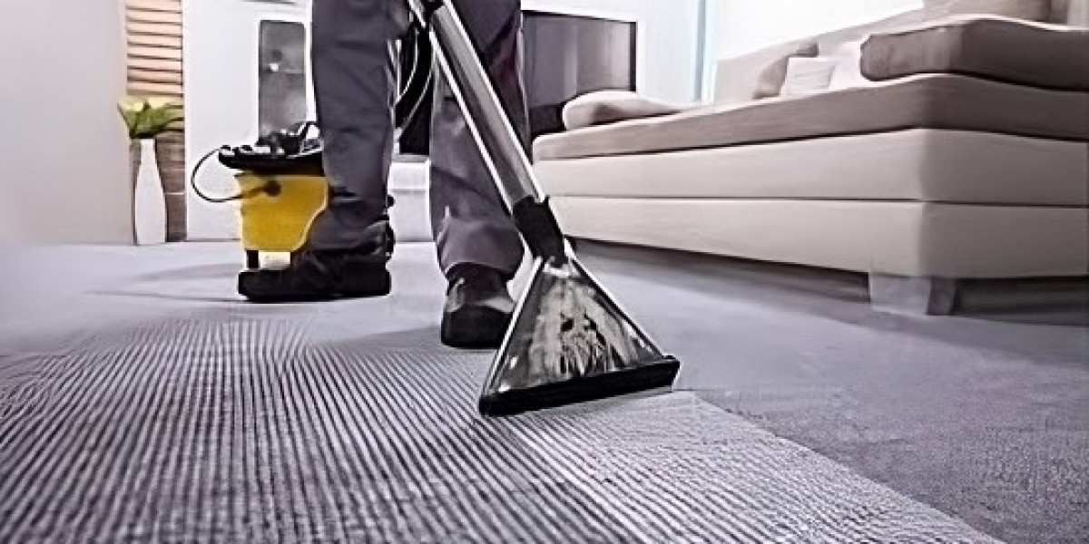 Spot-Free Living: Top Carpet Cleaning Experts