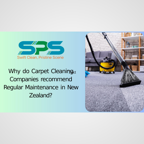 Why do Carpet Cleaning Companies recommend Regular Maintenance in New Zealand?