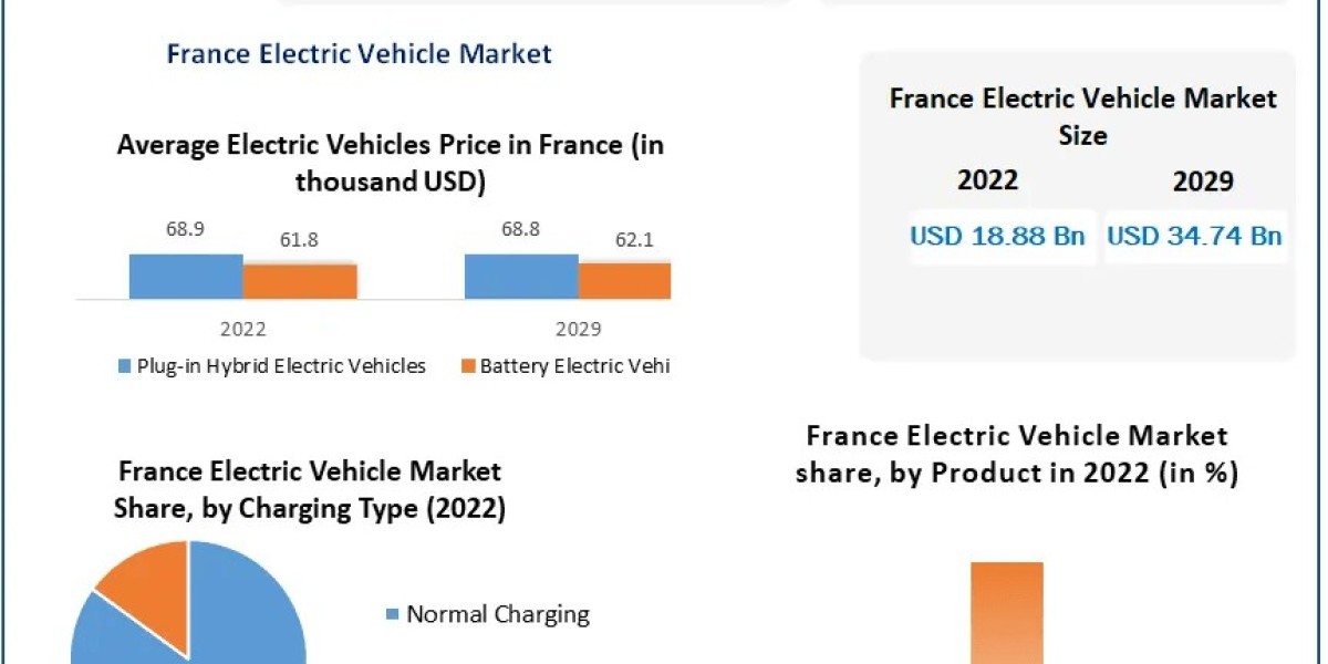France Electric Vehicle Market Business Landscape, Scale, Main Drivers, and Expected Movements | 2029