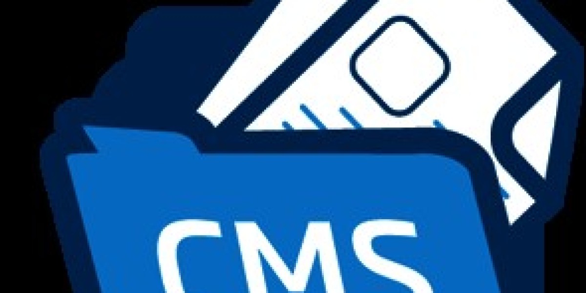 cms web development service