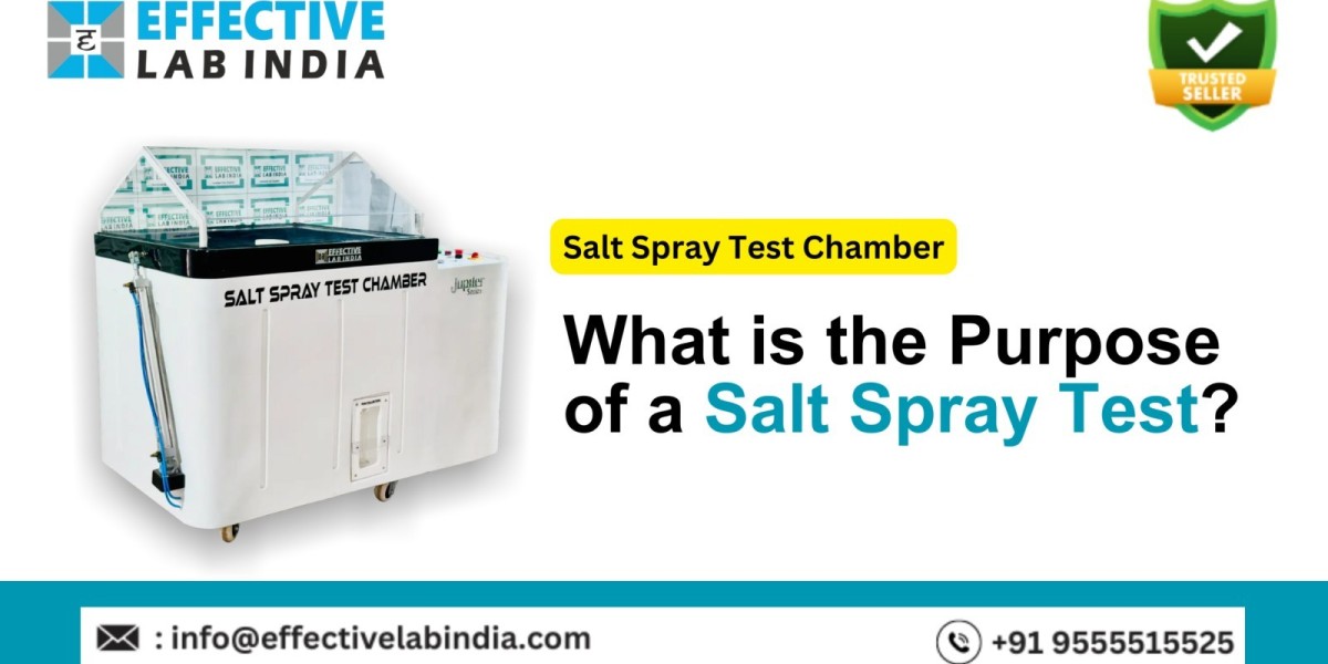 What is the Purpose of a Salt Spray Test?