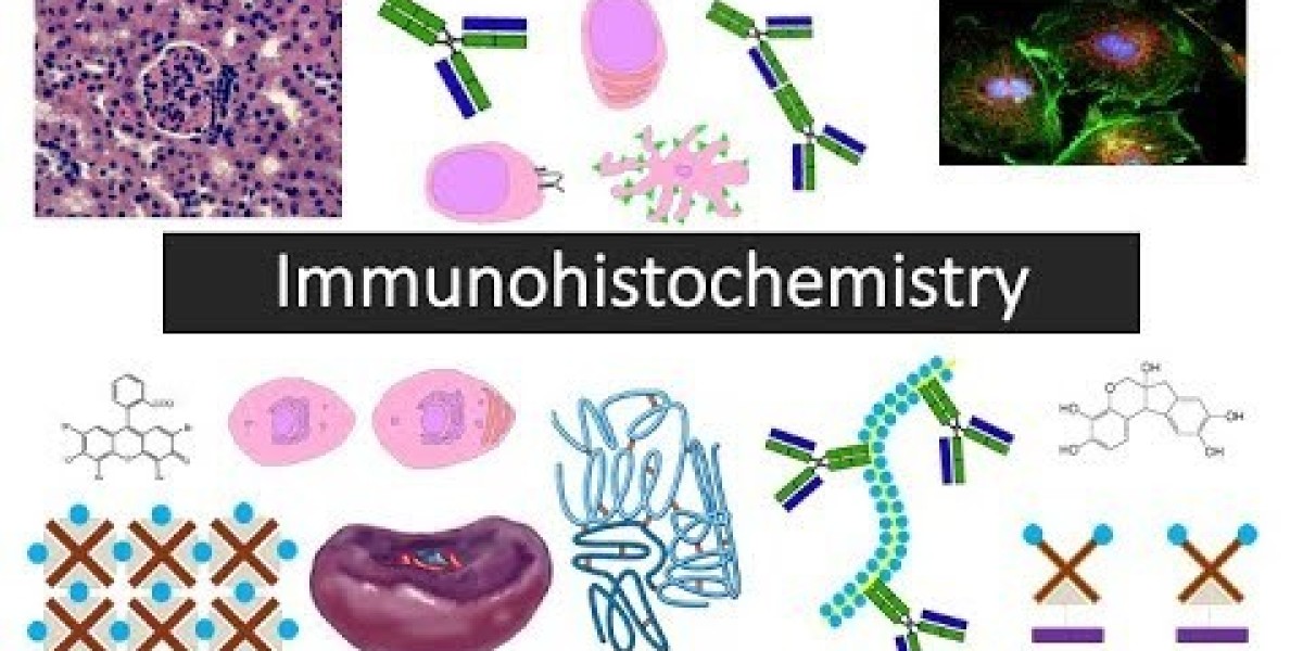 Immunohistochemistry Market Analysis, Type, Size, Trends, Key Players and Forecast 2024 to 2034