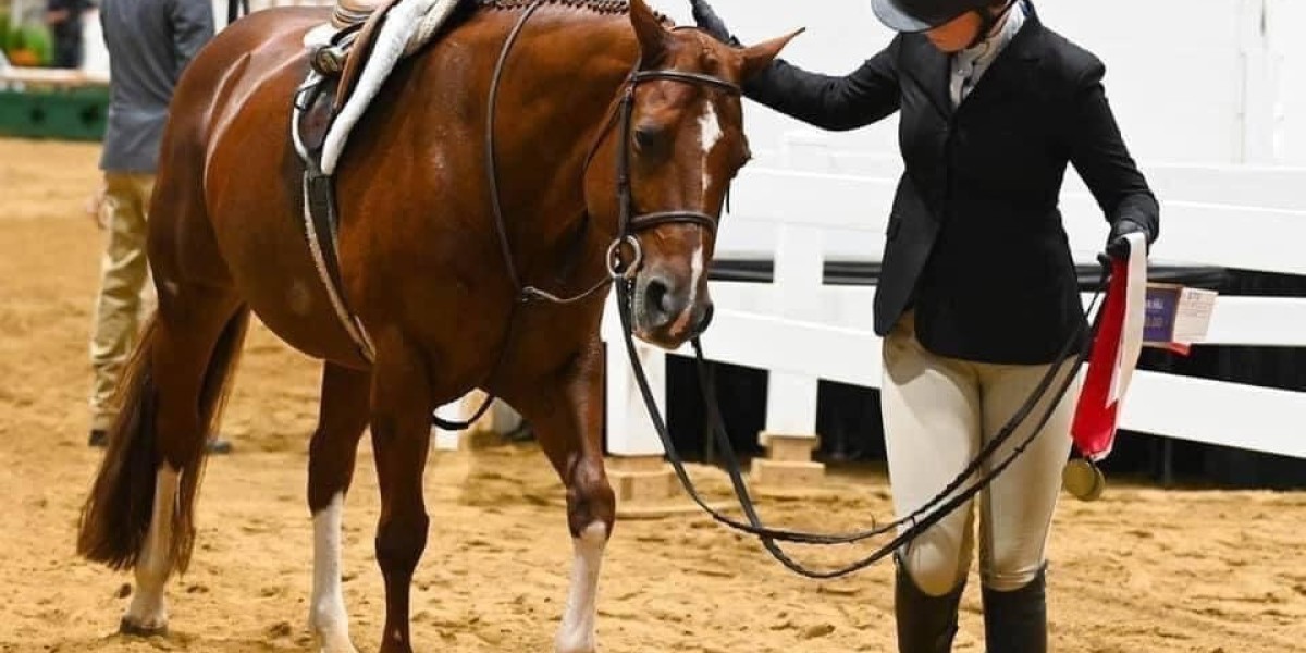 The Versatility of Horses at Apple Creek Farm MA: From Quarter Horses to Draft Crosses