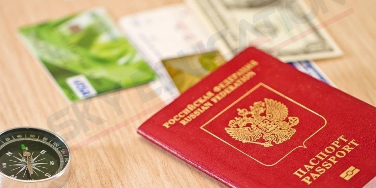 How to Prepare for Your 2024 Trip: Applying for a Russian e-Visa