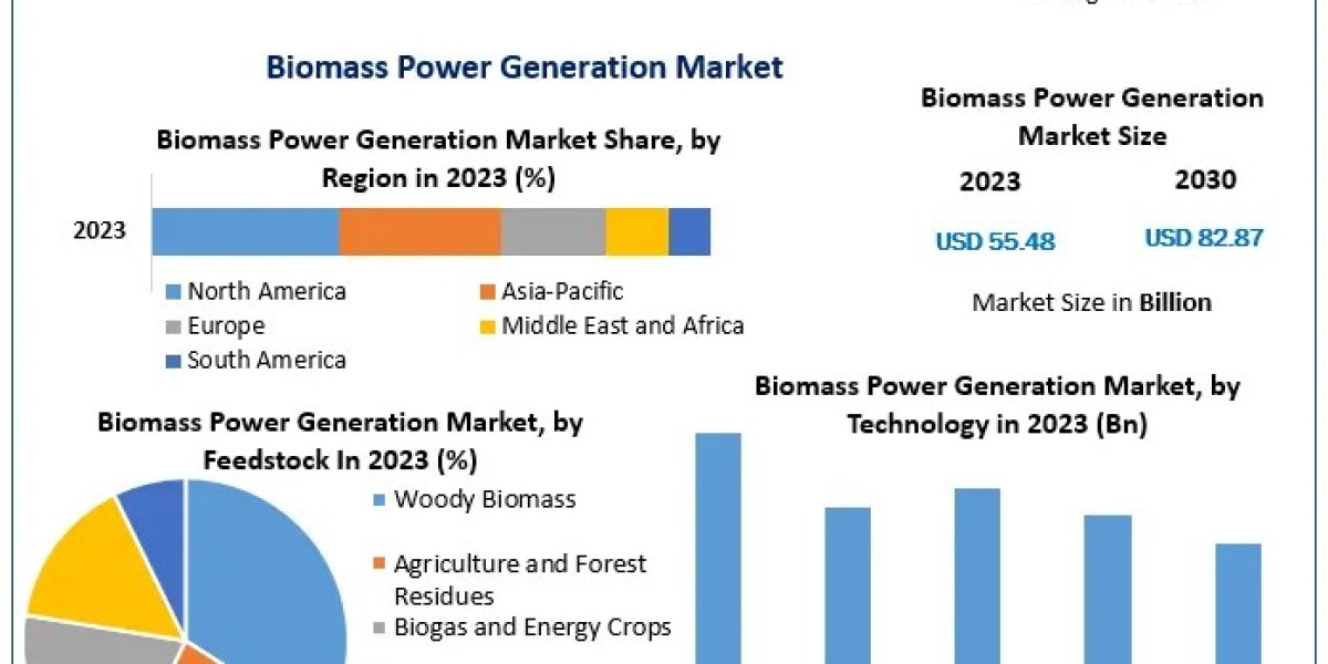 Biomass Power Generation Market Segmentation, Outlook, and Overview in Market Trends | 2024-2030