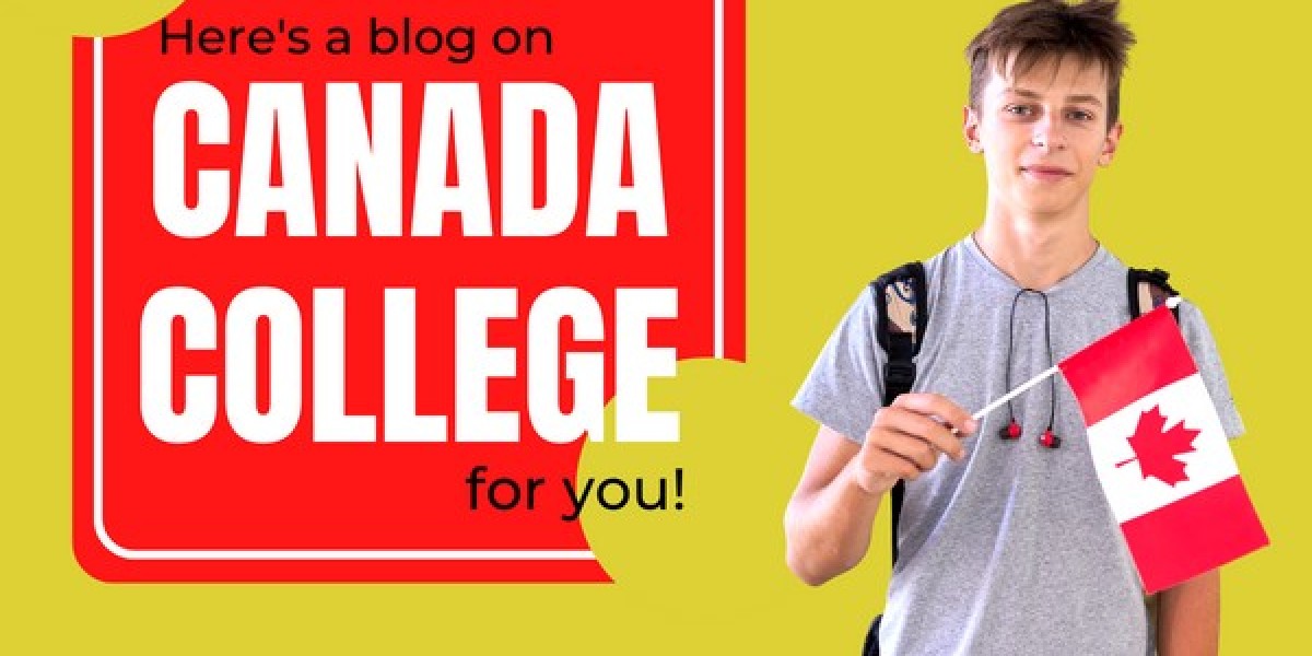 Why Pursuing a Bachelor's Degree in Canada is a Great Choice