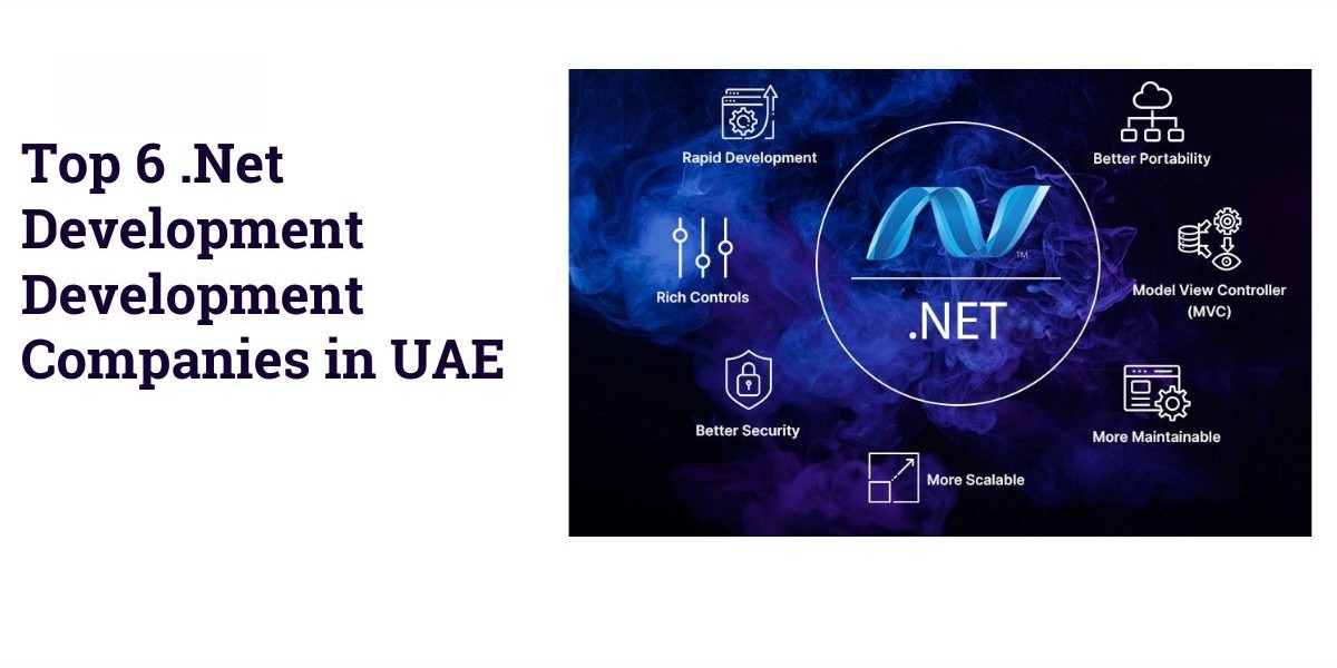 Top 6 .Net Development Development Companies in UAE